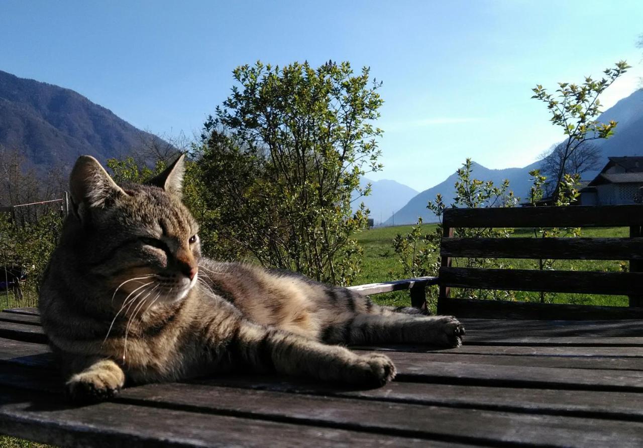Agritur Airone Bed &