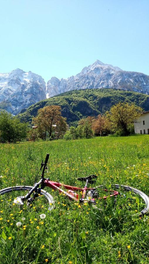 Agritur Airone Bed & Levico Terme